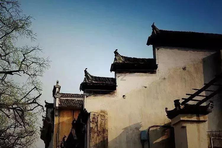 小猫钓鱼游戏龙王版有船